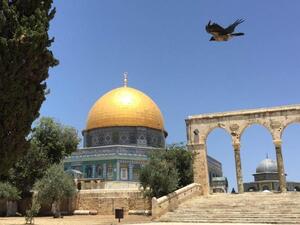وأكد المجلس الوطني الفلسطيني أن ذلك القرار وغيره من القرارات الاحتلالية تعتبر اعتداء مرفوض على حق مليار وسبعمائة مليون مسلم.

