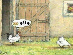 ماله الديك؟