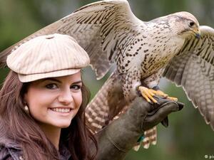 ما احلى الصقر