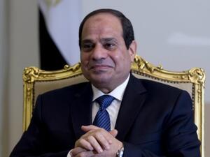 النظام المصري حرك مؤسساته وأذرعه الإعلامية لمهاجمة