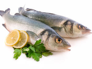 تحتوي المأكولات البحرية على سلسلة طويلة من الأحماض الدهنية (shutterstock.com)