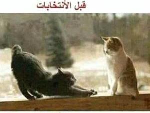 قبل و..