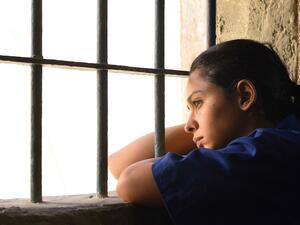 Committee of sector insiders selects Mai Masri’s film to be submitted to Academy Awards. (lff.org.au)