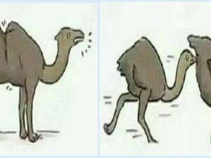 هيك..