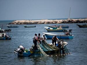 Palestinian fishermen collect their catch off the coast of Gaza City  (AFP/File Photo)