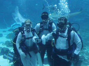 Divers marries underwater in Australia. (Youtube)