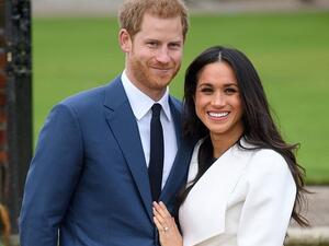 (Tim Rooke / REX / Shutterstock)