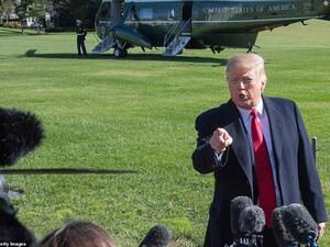 I dare you: President Donald Trump challenged a TV reporter on Monday to take his camera crew into the migrant caravan in southern Mexico. (AFP/FILE)