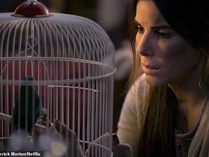 ساندرا بولوك