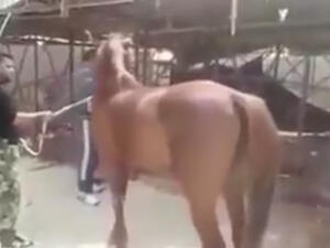 مشهد من الفيديو