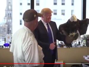 لماذا زعل النسر من ترامب؟