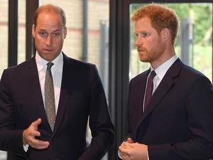 الأميران هاري وويليام