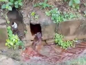 River of ‘blood’ (Twitter)