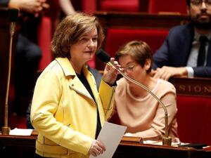 France’s European Affairs Minister Nathalie Loiseau (Twitter)