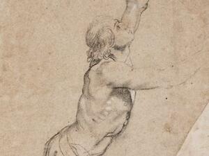 Drawing by Peter Paul Rubens (Twitter)
