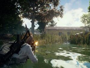 PUBG video game (Twitter)