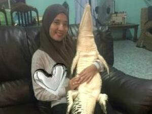 Malaysian cuddles wild crocodile (Twitter)