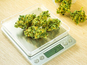 Marijuana (Shutterstock)