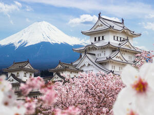 Fuji mountain, Japan (Shutterstock)