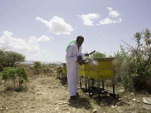 This is not the first time an Ethiopian court has sentenced individuals for al-Qaeda or al-Shabaab links. (AFP) 