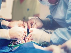 (Shutterstock/ File Photo)