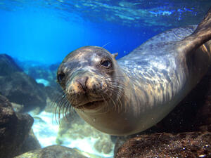 (Shutterstock/ File Photo)