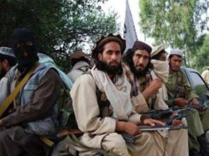 أفراد شبكة حقاني يعتدون على الاطفال جنسياً داخل مخيمات التدريب