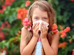 للوقاية من حساسية الأنف يجب إزالة الغبار من المنزل بانتظام

