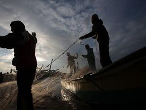 Palestinian fishermen collect fish from their nets in Gaza City. (AFP/Mohammed Abed)