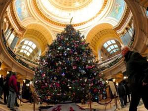 شجرة عيد الميلاد. شجرة عيد الميلاد.