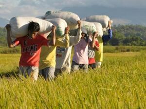 العامل الفليبيني أكثر انضباطا من مثيله السعودي!!