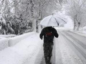 العاصفة اليكسا