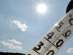 اللبناني لما يشوب