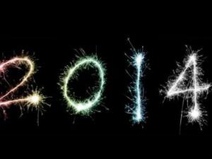 العام الجديد 2013