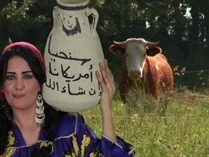 الراقصة سما المصري