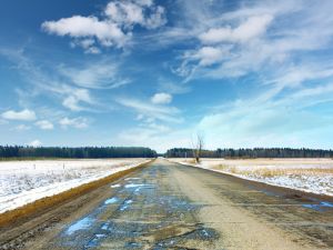 (Shutterstock/ File Photo)