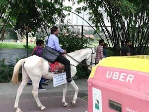 Indian software engineer Roopesh Kumar Verma rode a horse to work on his last day. (Twitter)