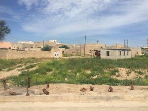 مجلس عشائري الأنبار يتهم "الحشد" بتجريف منازل وبساتين الأهالي