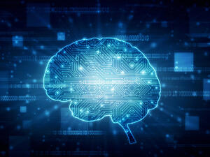 تعمل أدمغتنا والأمعاء الغليظة بشكل متزامن، فالاثنان مرتبطان بجهازنا العصبي