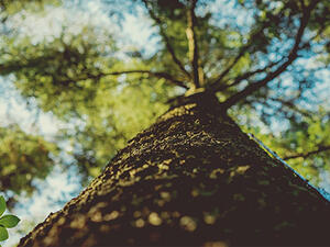 Did life ever knock you down? What did you do? How did you react? (Bayt)