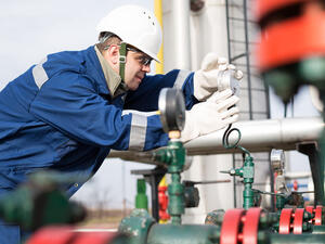 The plant, which began operating around 10 months ago, contributes 20 per cent of the total power supply in the Kingdom. (Shutterstock)