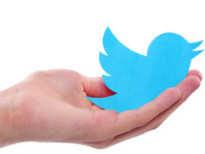 Twitter said the database could have been created by merging information from other breaches or from password-stealing malware, adding affected users have been notified by email. (Shutterstock)