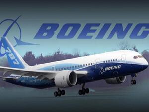 230 of Iran's 250 planes need to be replaced. (Twitter)
