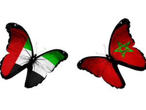 وجود مشروعات طاقة متجددة بين الإمارات والمغرب يجري العمل على تنفيذها حاليا وهي “نور 1، ونور 2، ونور 3″ لتوفير إمدادات ضخمة من الطاقة المتجددة وتلبية احتياجات المغرب من الطاقة الكهربائية