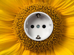 The switch to more renewable forms of energy will also result in the reduction of up to one gigaton of carbon emissions by 2030, and the creation of countless jobs across the region. (Shutterstock)