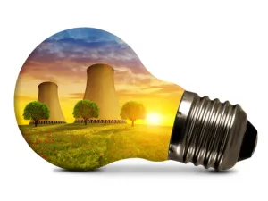 The growth of the renewable energy sector in Saudi Arabia is an opportunity for job generation. (Shutterstock)