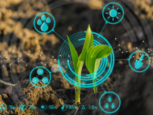 The announcement aims to drive the development of the AgTech ecosystem. (Shutterstock)
