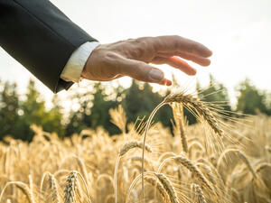 The strategic food security facilities and warehouses at Hamad Port have capacity to stockpile processed and stored food for 3 million people for two years. (Shutterstock)