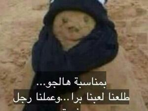 موجة الغبره تجتاج الاردن