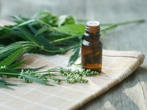 يساعد زيت الحشيش على فتح الشهية
